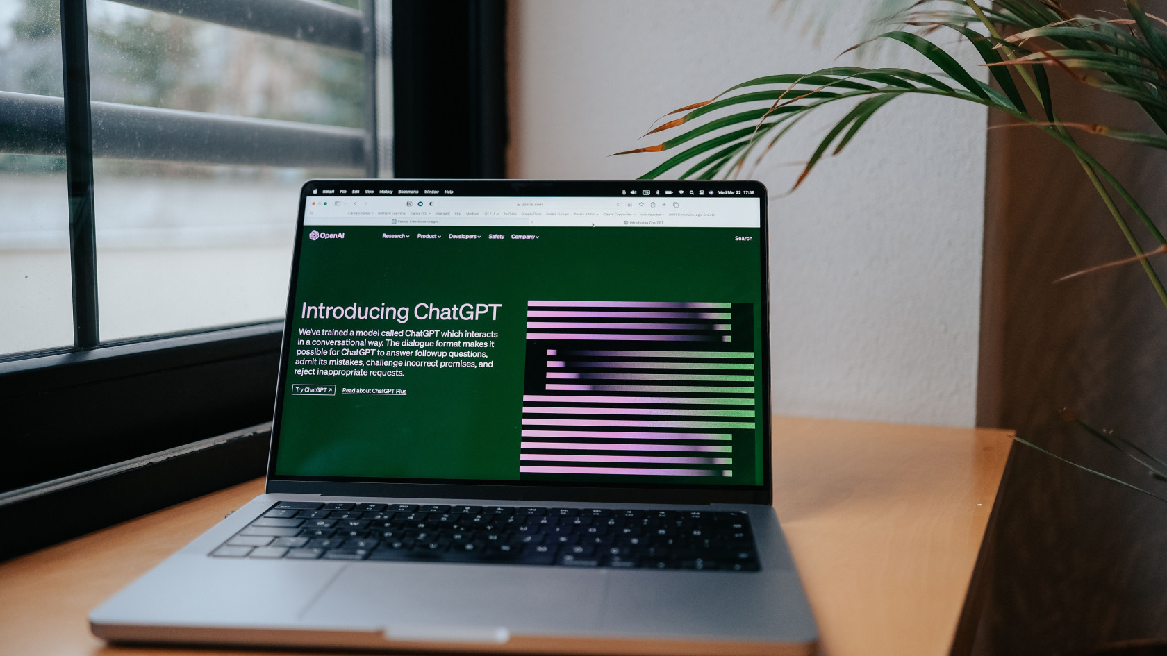 ChatGPT начнёт ставить невидимые водяные знаки в тексты, пока только в ЕС