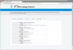Comodo Dragon Скриншот 6