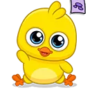 My Chicken