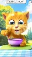 Talking Ginger 2 Скриншот 2