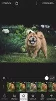 Polarr Скриншот 5