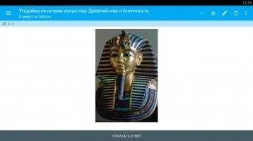 AnkiDroid Скриншот 5