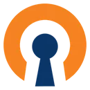 OpenVPN