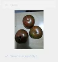 JPEG Конвертер Скриншот 2