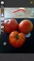 Touchshot Скриншот 8