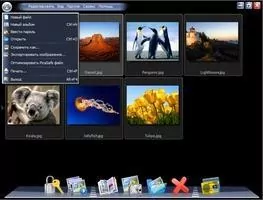 PicaSafe Скриншот 7