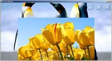 Simply Slideshow Скриншот 3