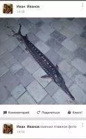 Одноклассники Скриншот 5