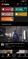 YouTube Vanced Скриншот 2
