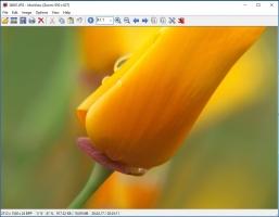 IrfanView Скриншот 1