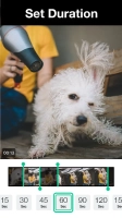 Magisto - Video Editor &amp; Music Скриншот 3