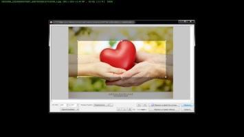 FastStone Image Viewer Скриншот 7