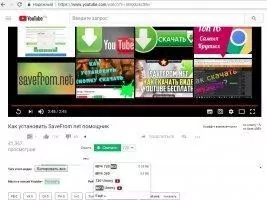 SaveFrom.NET Скриншот 2