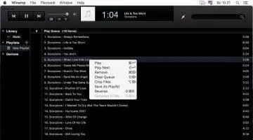 Winamp Скриншот 6