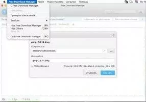 Free Download Manager Скриншот 1