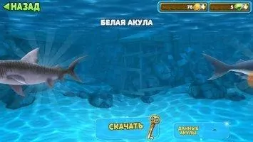 Hungry Shark Evolution Скриншот 11